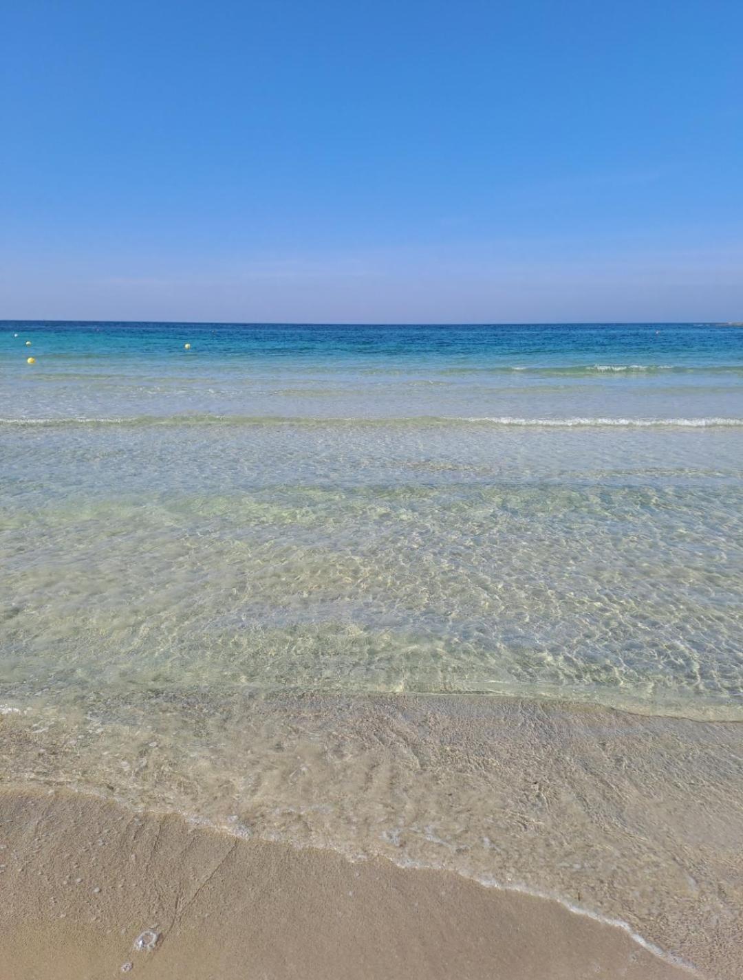 B&B Fior Di Mare ポルト・チェザーレオ エクステリア 写真